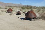 PICTURES/Borrego Springs Sculptures - Tortoise, Pigs & Tapir/t_P1000413.JPG
